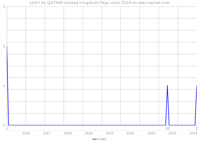 LUAY AL QATAMI (United Kingdom) Page visits 2024 