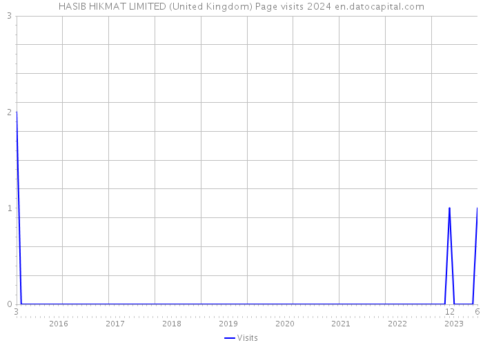HASIB HIKMAT LIMITED (United Kingdom) Page visits 2024 