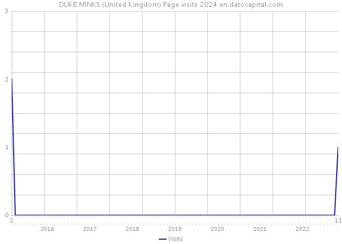 DUKE MINKS (United Kingdom) Page visits 2024 