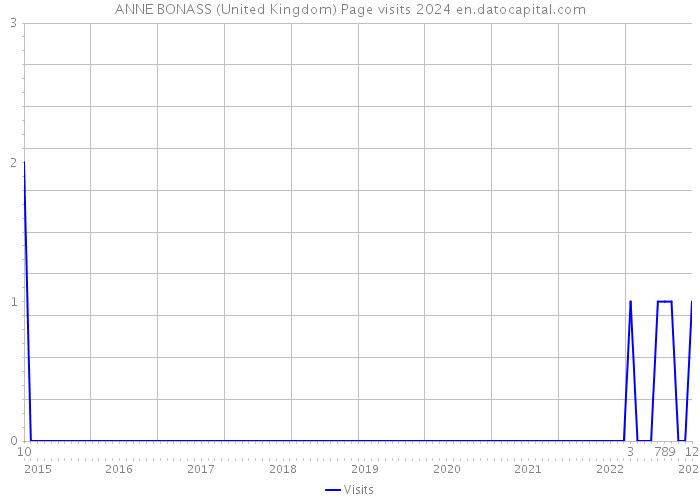 ANNE BONASS (United Kingdom) Page visits 2024 