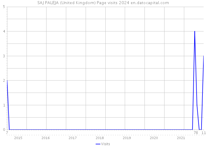 SAJ PALEJA (United Kingdom) Page visits 2024 