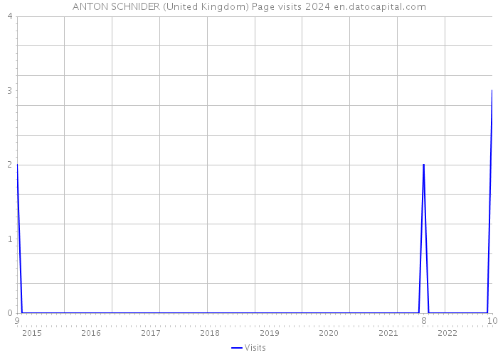 ANTON SCHNIDER (United Kingdom) Page visits 2024 