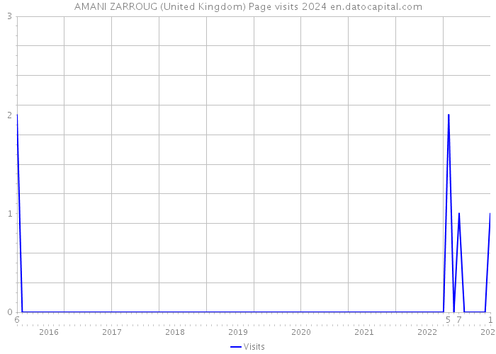 AMANI ZARROUG (United Kingdom) Page visits 2024 