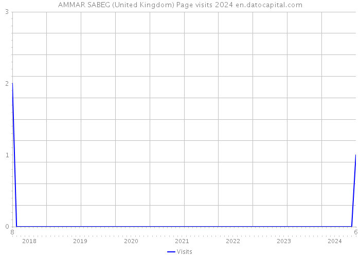 AMMAR SABEG (United Kingdom) Page visits 2024 