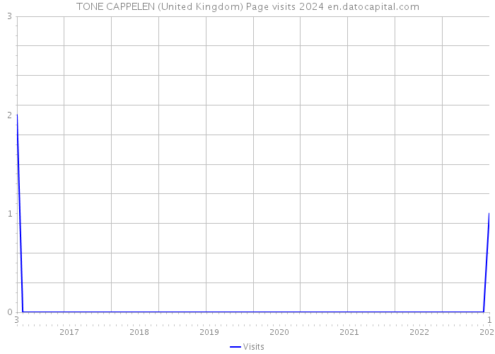 TONE CAPPELEN (United Kingdom) Page visits 2024 
