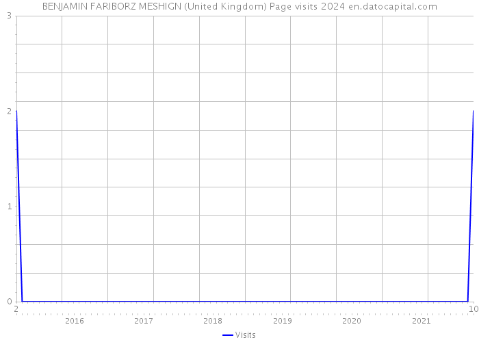 BENJAMIN FARIBORZ MESHIGN (United Kingdom) Page visits 2024 