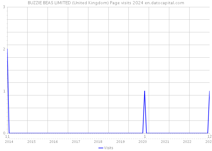 BUZZIE BEAS LIMITED (United Kingdom) Page visits 2024 