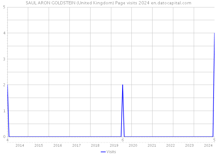 SAUL ARON GOLDSTEIN (United Kingdom) Page visits 2024 