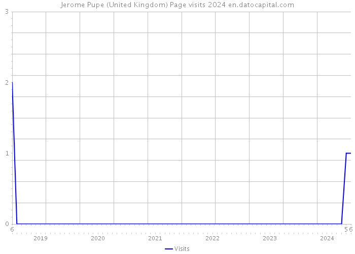 Jerome Pupe (United Kingdom) Page visits 2024 