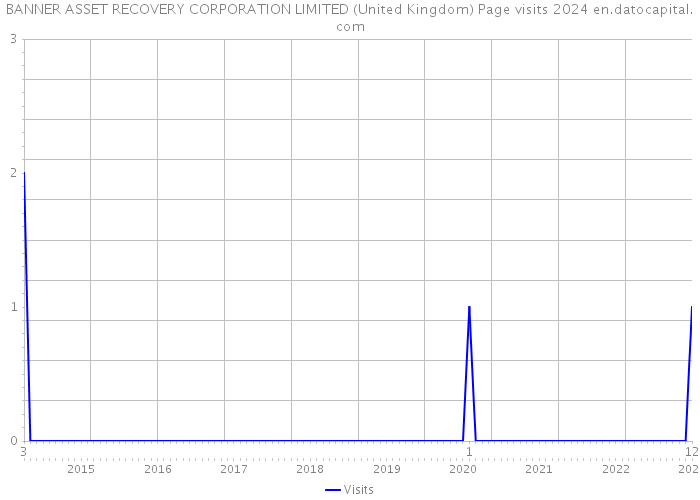 BANNER ASSET RECOVERY CORPORATION LIMITED (United Kingdom) Page visits 2024 