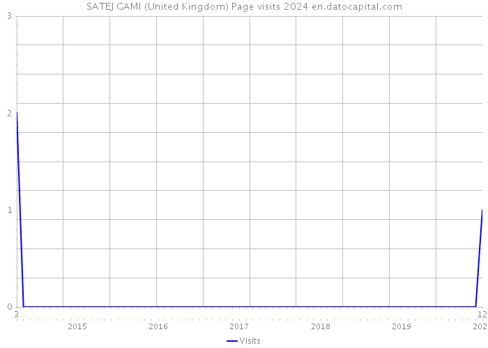 SATEJ GAMI (United Kingdom) Page visits 2024 