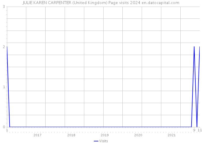 JULIE KAREN CARPENTER (United Kingdom) Page visits 2024 
