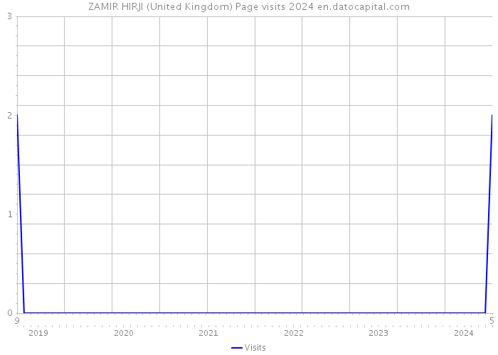 ZAMIR HIRJI (United Kingdom) Page visits 2024 