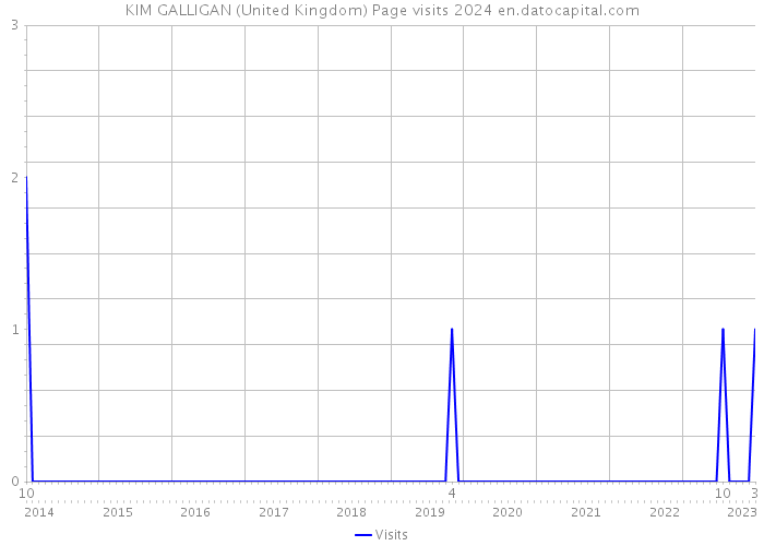 KIM GALLIGAN (United Kingdom) Page visits 2024 