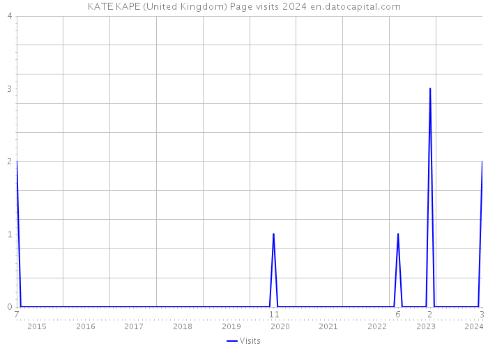 KATE KAPE (United Kingdom) Page visits 2024 
