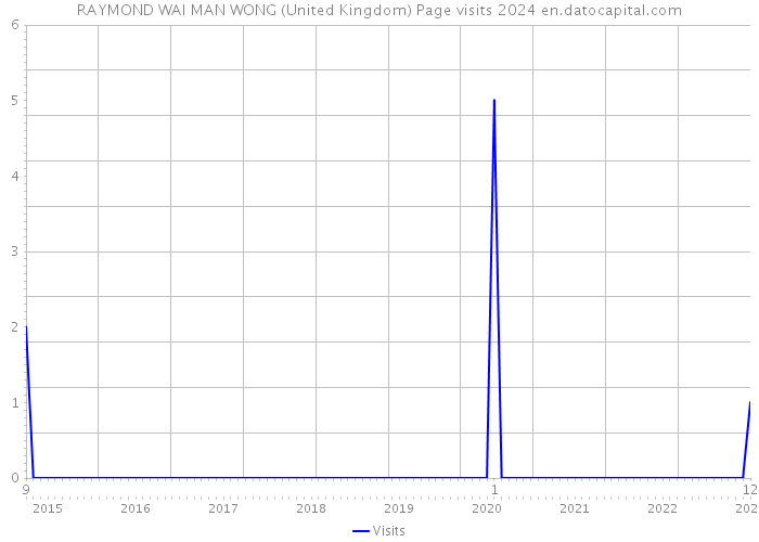 RAYMOND WAI MAN WONG (United Kingdom) Page visits 2024 