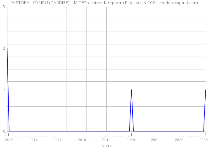 PASTORAL CYMRU (CARDIFF) LIMITED (United Kingdom) Page visits 2024 