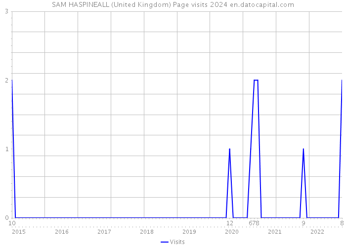 SAM HASPINEALL (United Kingdom) Page visits 2024 