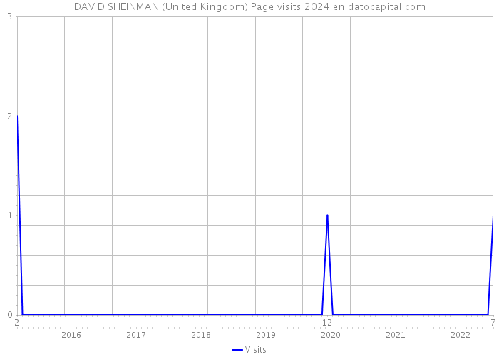 DAVID SHEINMAN (United Kingdom) Page visits 2024 