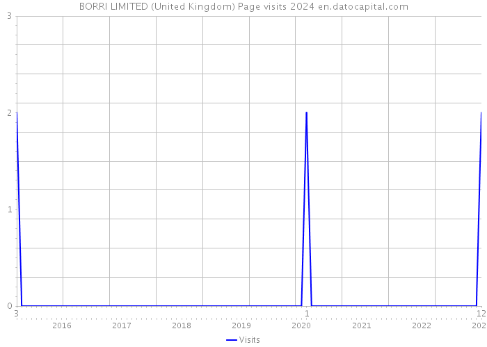 BORRI LIMITED (United Kingdom) Page visits 2024 