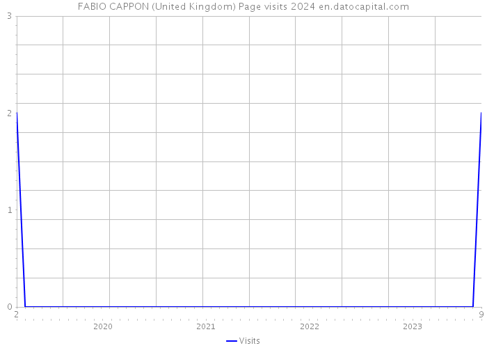 FABIO CAPPON (United Kingdom) Page visits 2024 