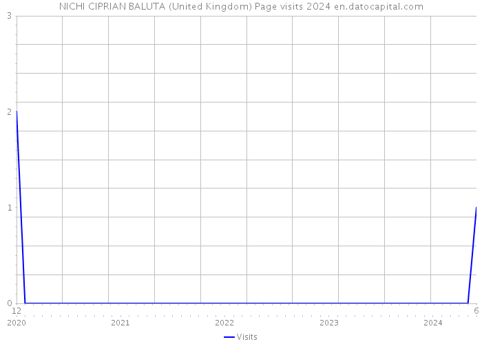NICHI CIPRIAN BALUTA (United Kingdom) Page visits 2024 