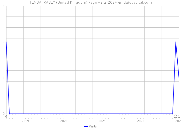 TENDAI RABEY (United Kingdom) Page visits 2024 