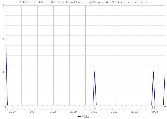 THE FOREST BAILIFF LIMITED (United Kingdom) Page visits 2024 