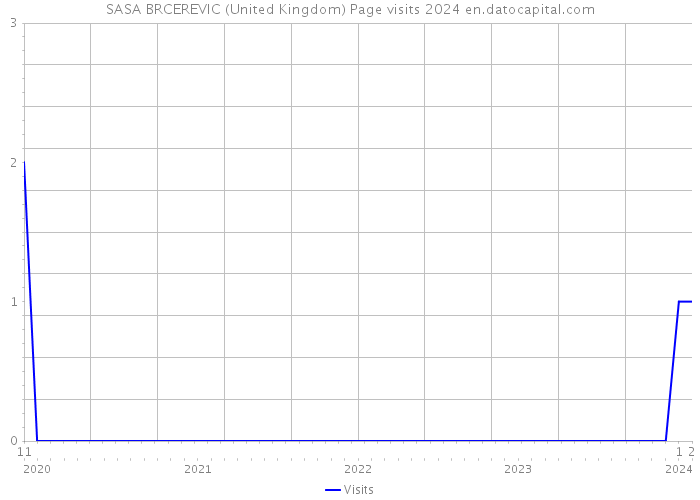 SASA BRCEREVIC (United Kingdom) Page visits 2024 