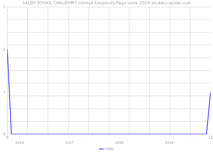 SALEH SOHAIL CHAUDHRY (United Kingdom) Page visits 2024 