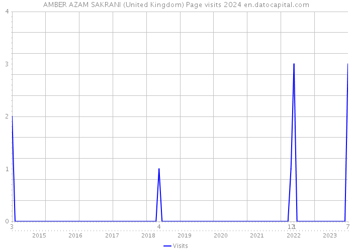 AMBER AZAM SAKRANI (United Kingdom) Page visits 2024 