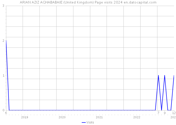ARIAN AZIZ AGHABABAIE (United Kingdom) Page visits 2024 