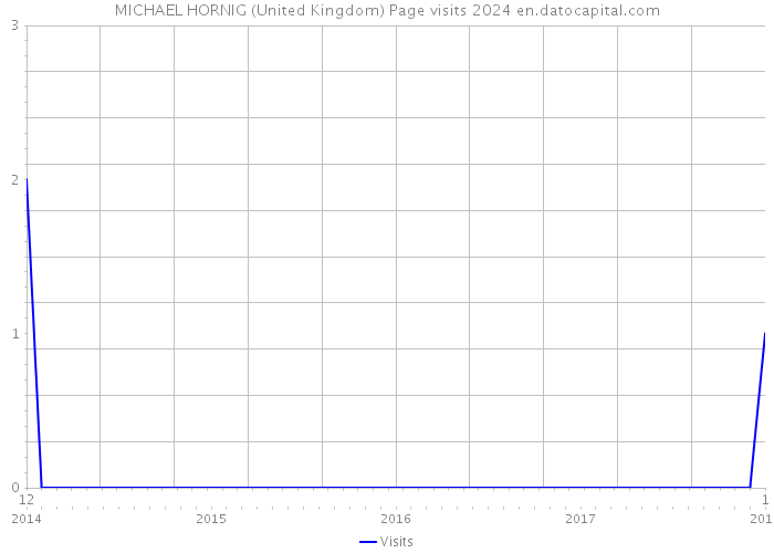 MICHAEL HORNIG (United Kingdom) Page visits 2024 