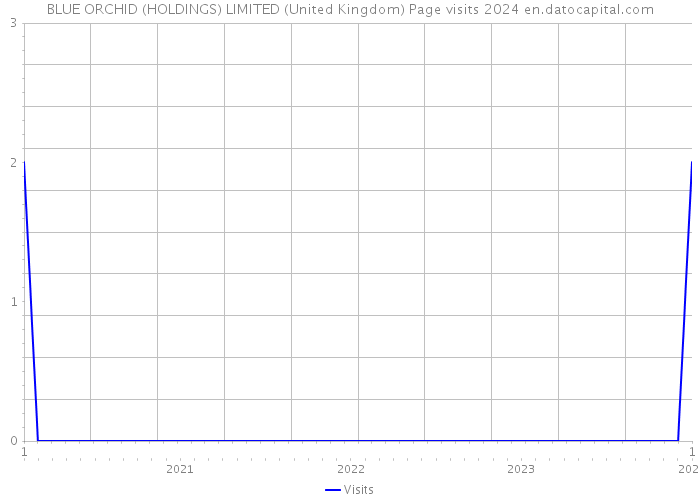 BLUE ORCHID (HOLDINGS) LIMITED (United Kingdom) Page visits 2024 