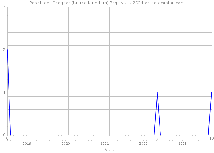 Pabhinder Chagger (United Kingdom) Page visits 2024 