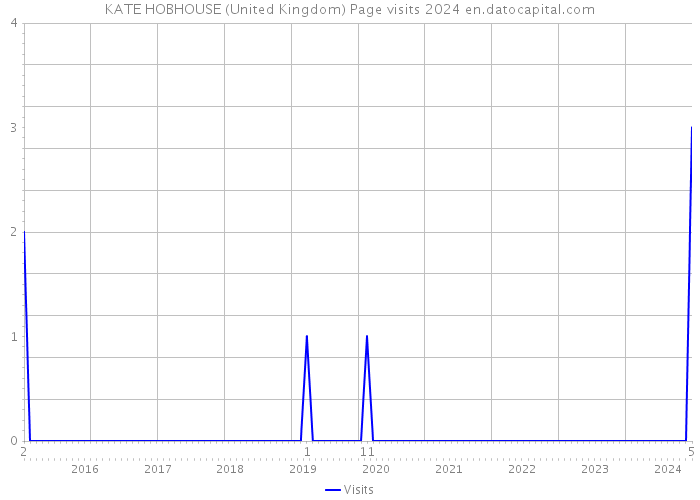 KATE HOBHOUSE (United Kingdom) Page visits 2024 