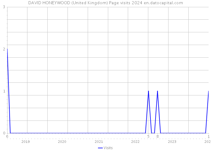 DAVID HONEYWOOD (United Kingdom) Page visits 2024 