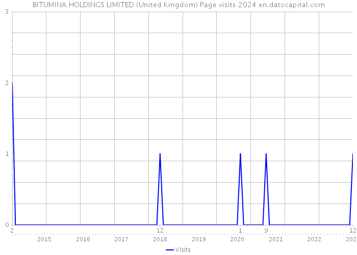 BITUMINA HOLDINGS LIMITED (United Kingdom) Page visits 2024 