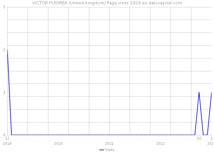 VICTOR FUIOREA (United Kingdom) Page visits 2024 