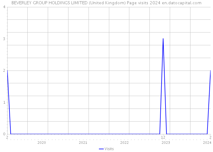 BEVERLEY GROUP HOLDINGS LIMITED (United Kingdom) Page visits 2024 