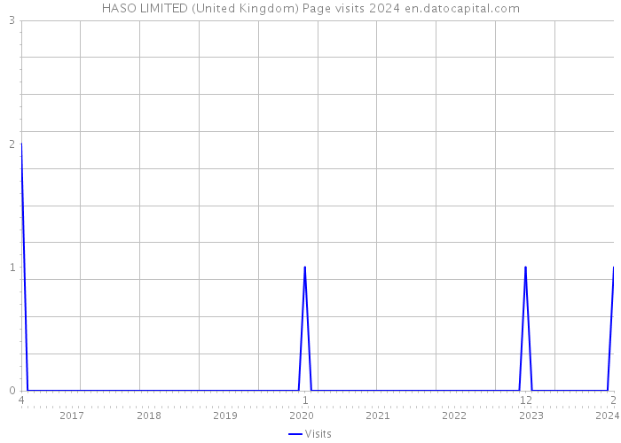 HASO LIMITED (United Kingdom) Page visits 2024 
