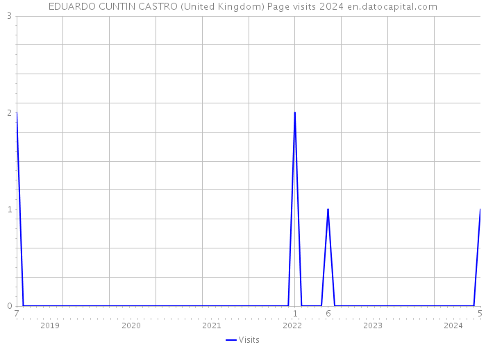EDUARDO CUNTIN CASTRO (United Kingdom) Page visits 2024 