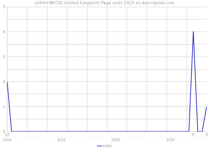 LARAH BROSS (United Kingdom) Page visits 2024 