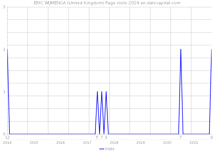 ERIC WIJMENGA (United Kingdom) Page visits 2024 