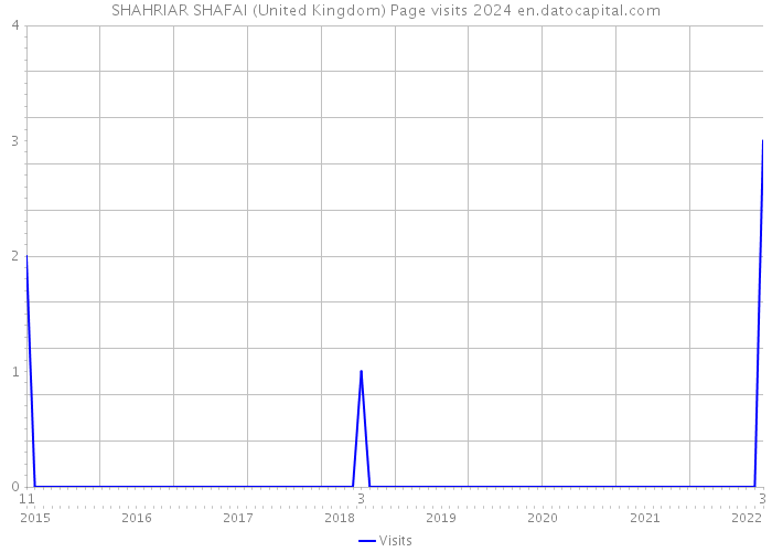 SHAHRIAR SHAFAI (United Kingdom) Page visits 2024 