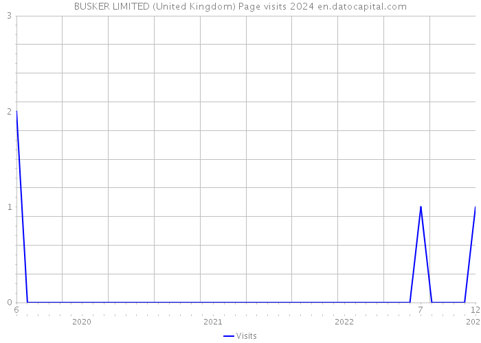 BUSKER LIMITED (United Kingdom) Page visits 2024 