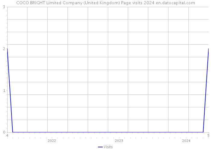 COCO BRIGHT Limited Company (United Kingdom) Page visits 2024 