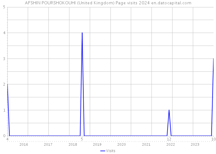 AFSHIN POURSHOKOUHI (United Kingdom) Page visits 2024 