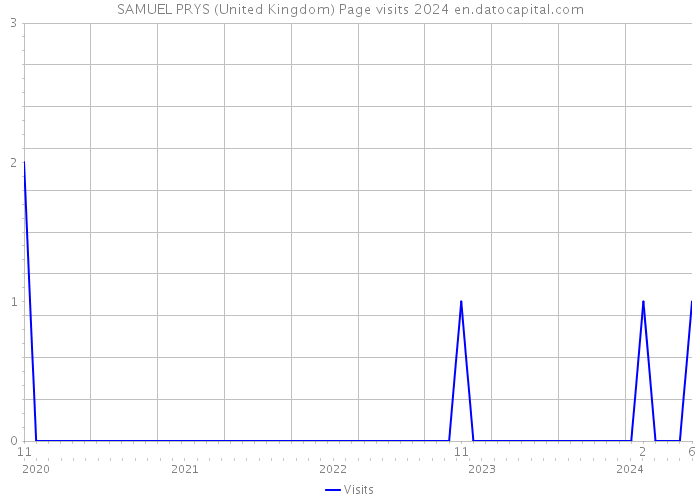 SAMUEL PRYS (United Kingdom) Page visits 2024 