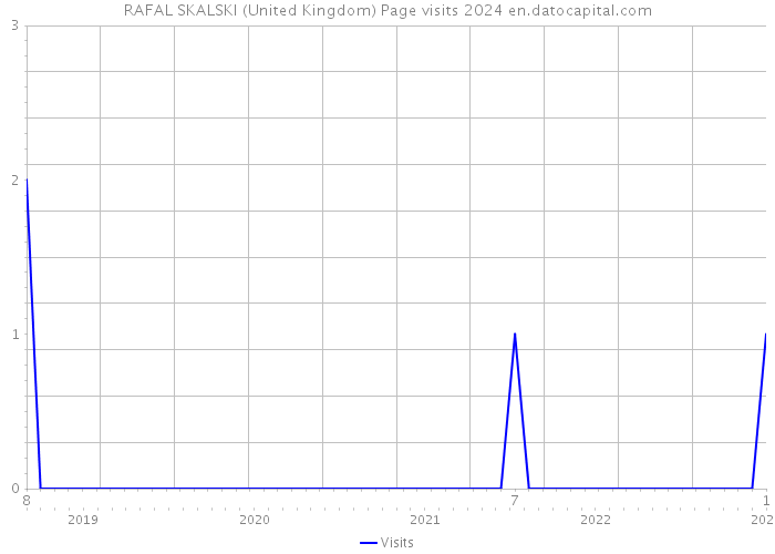 RAFAL SKALSKI (United Kingdom) Page visits 2024 